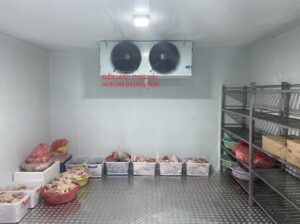 Phân phối và lắp đặt kho lạnh bảo quản nông sản