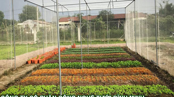 Lưới chắn côn trùng, lưới trồng rau, lưới 32 mesh