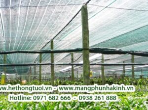 Nhà cung cấp lưới che nắng thái lan, bán lưới che nắng thái lan tại hà nội