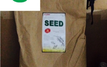 Seed men sống đường ruột cho tôm cá Hàn Quốc