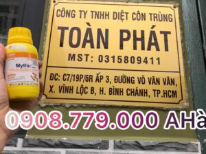 Dịch Vụ Diêt Mối Tận Nhà Quận 1