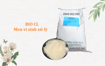 Bio CL – Men Nitrosomonas, Nitrobacter chuyên xử lý NH3, NO2