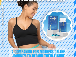 Panorama Slim A companion for mothers on the journey to regain their