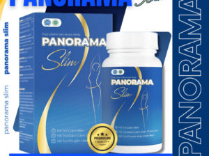 Overall Evaluation of Panorama Slim