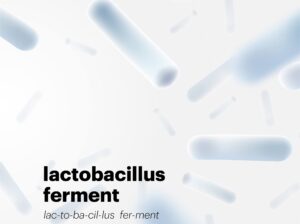 Lactobacillus ferment tăng cường miễn dịch cho cơ thể