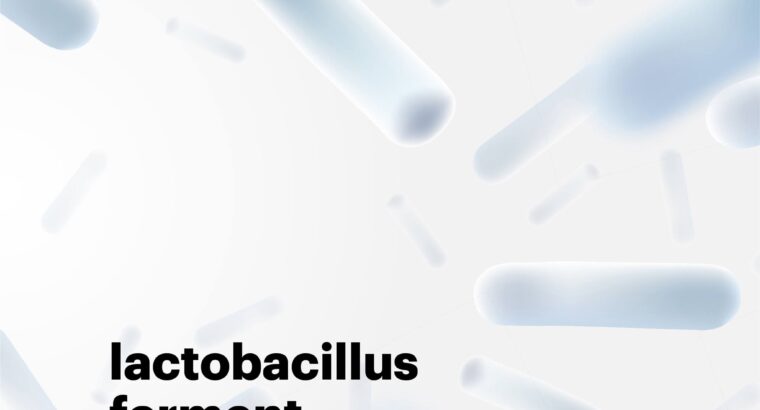 Lactobacillus ferment tăng cường miễn dịch cho cơ thể
