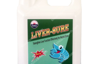 LIVER SURE – GIẢI PHÁP SỐ 1 CHO GAN