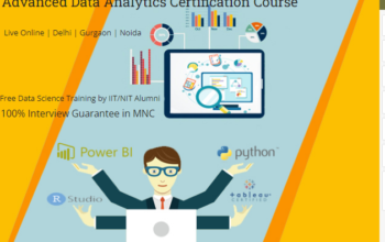 Data Analytics Course in Delhi, 110088. Best Online Data Analyst