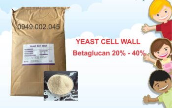 Yeast Cell Wall – Betaglucan tăng cường miễn dịch tôm cá