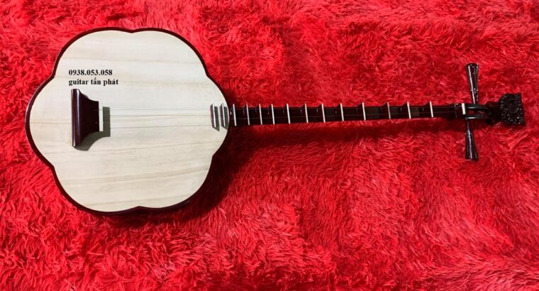 bán đàn nhạc cụ dân tộc giá rẻ – guitar tấn phát