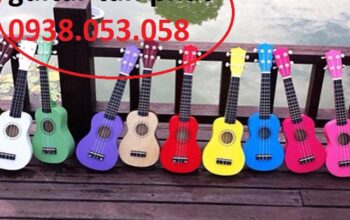 Bán đàn ukulele giá rẻ – nhạc cụ guitar tấn phát