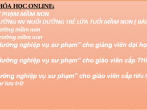 Nấu ăn trong trường cần học khóa gì/