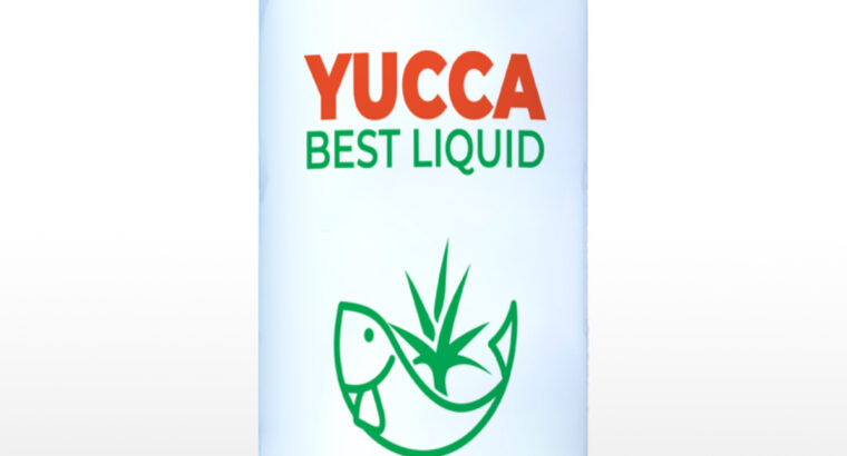 YUCCA BEST LIQUID : Yucca bổ sung vào thức ăn giúp Hấp thu khí độc