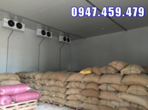 Cung cấp kho lạnh trữ hạt giống nông sản Tại ĐẮK NÔNG (0947 459 479)